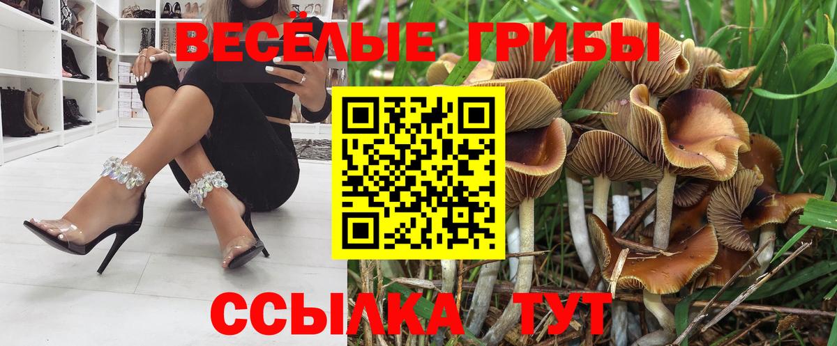 Псилоцибиновые грибы Magic Shrooms Керчь